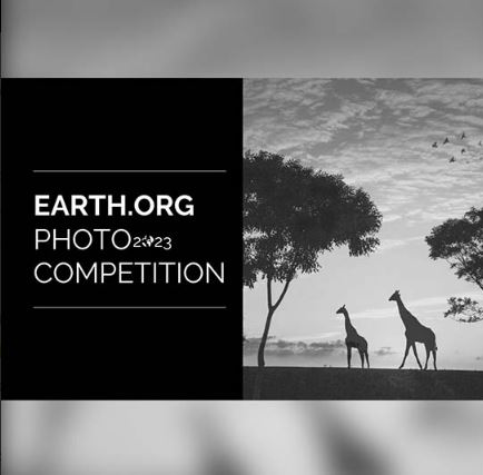 فراخوان رقابت بین المللی عکاسی حیات وحش و جهان طبیعی Earth.Org ۲۰۲۳