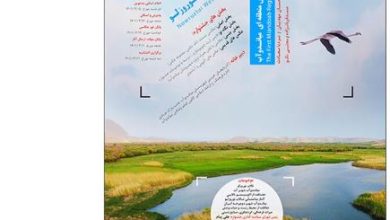 اولین جشنواره منطقه ای عکس میاندوآب تالاب نوروزلو