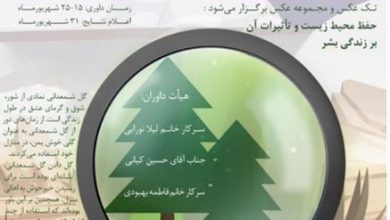 فراخوان چهاردهمین جشنواره عکس مجازی در دو بخش تک عکس و مجموعه عکس