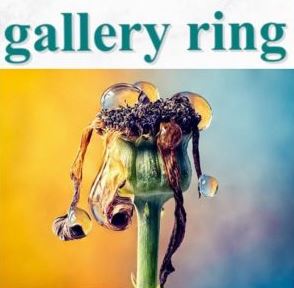 فراخوان رقابت هنری Gallery Ring 2023