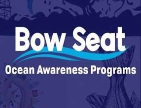 فراخوان مسابقه هنری 2024 Bow Seat