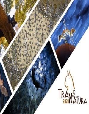 فراخوان عکاسی TransNatura 2024